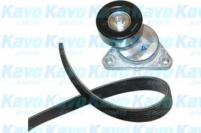KAVO PARTS dkm1004 -  Комплект клинового ремня